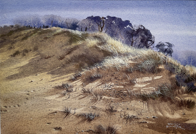 Sandhills by Brian Baxter  | Issue 184 