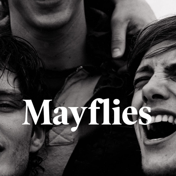 Mayflies | Regional News