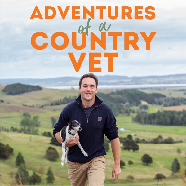 Adventures of a Country Vet  | Regional News